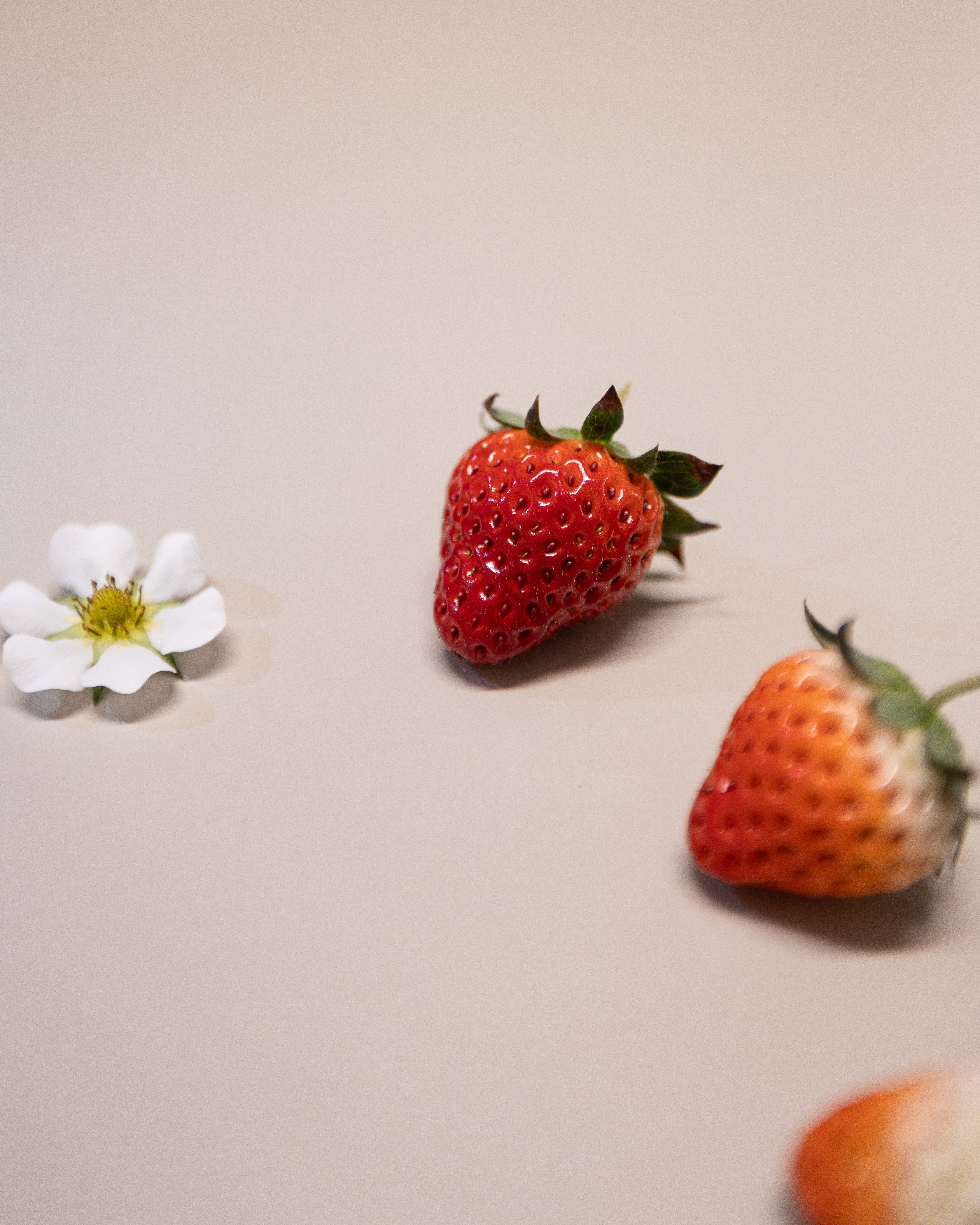 Japanese Strawberries Grown in Iceland｜ICHI-GO