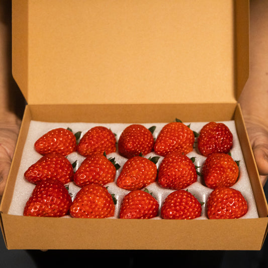 ICHIGO | Taste It First – 230g of Premium Japanese Strawberries